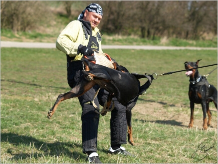 Training in Prague - 2. 4. 2008